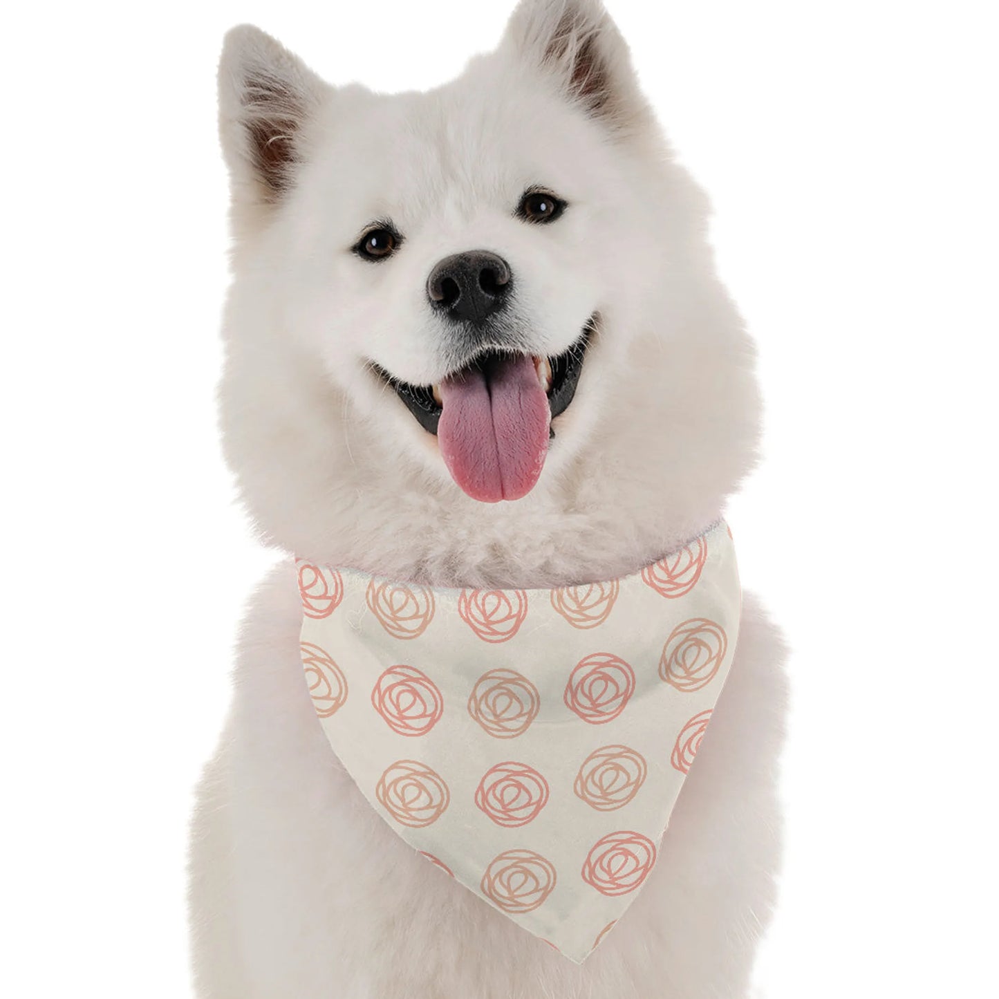 The Haven Bandana