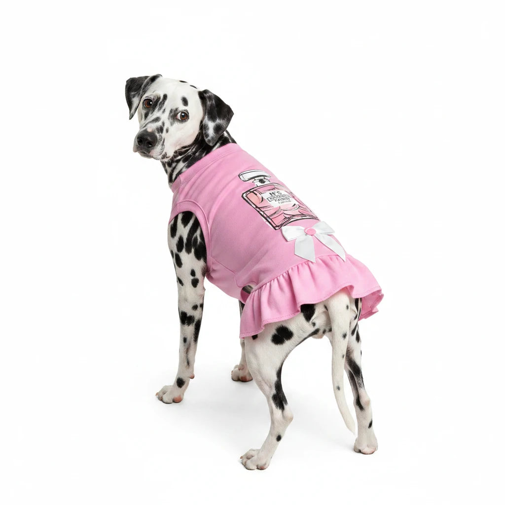 The Chewnel No. 5 Dress