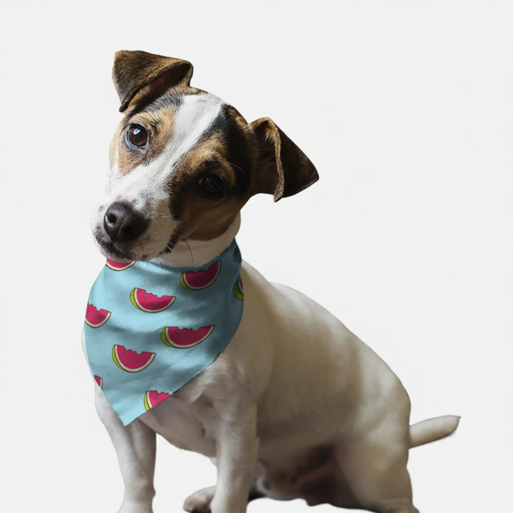 The Summer Watermelon Dog Bandana