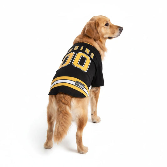 Boston Bruins Pet Jersey