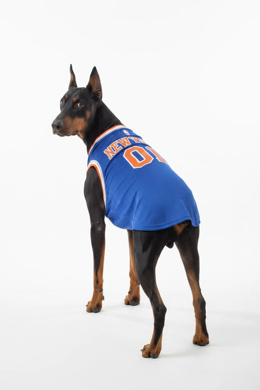 The New York Knicks Mesh Dog Jersey