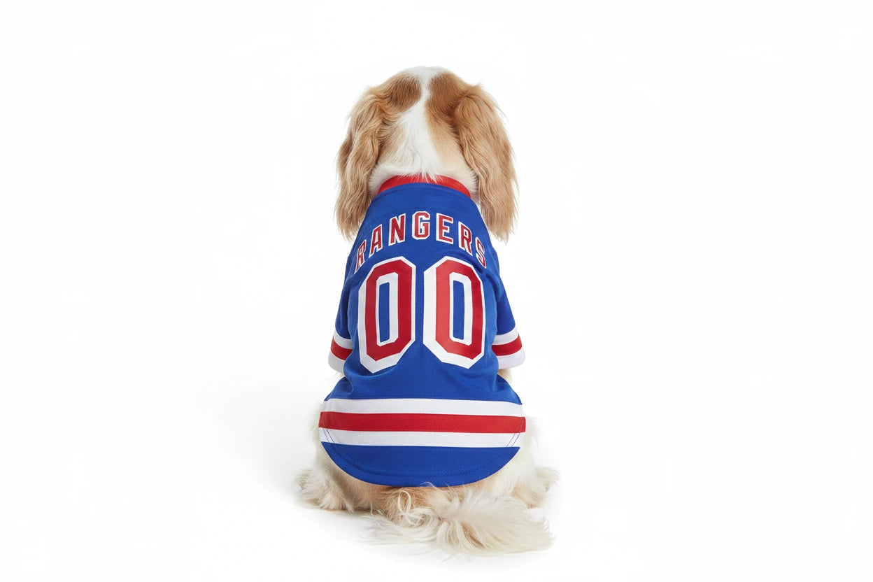 The New York Rangers Pet Jersey
