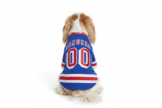 The New York Rangers Pet Jersey