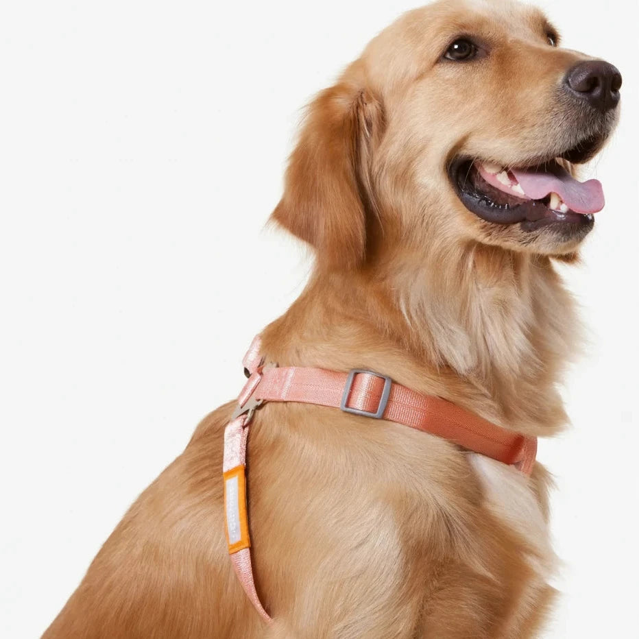 DB Touchdog 'Macaron' Luxury 2-In-1 Dog Harness Leash Durable Nylon Neoprene Breathable Available Purple/Pink/Black Sizes