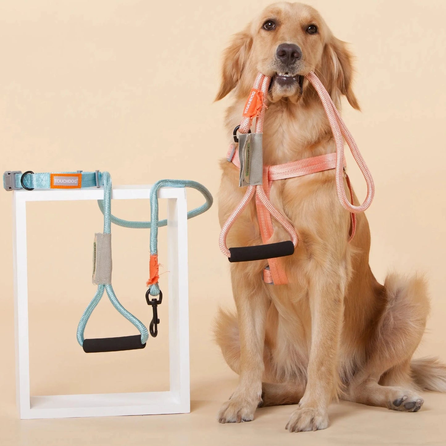 DB Touchdog 'Macaron' Luxury 2-In-1 Dog Harness Leash Durable Nylon Neoprene Breathable Available Purple/Pink/Black Sizes
