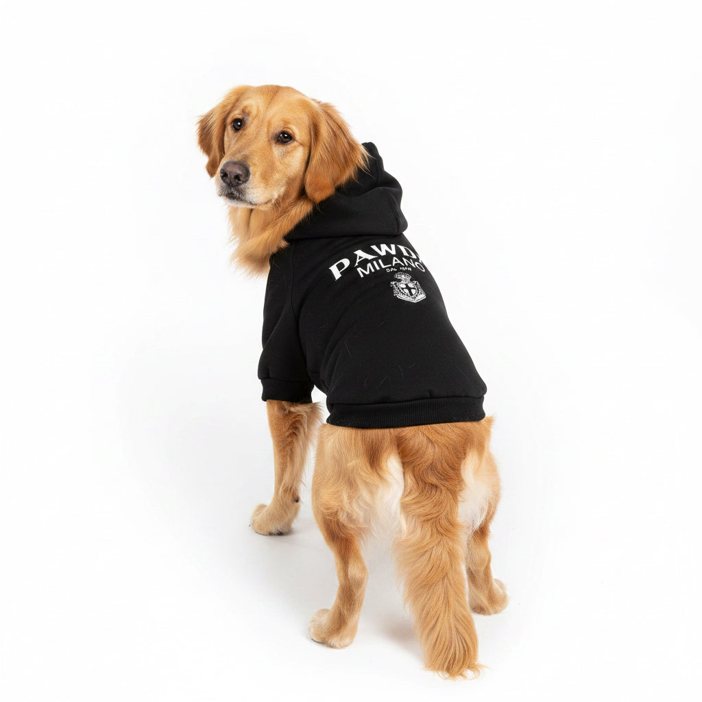Pawda Dog Clothes Autumn Winter Spring Small Medium Puppy Kitten York French Bulldog Luxury Fleece Lining Cat Pet Hoodies