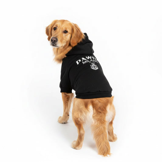Pawda Dog Clothes Autumn Winter Spring Small Medium Puppy Kitten York French Bulldog Luxury Fleece Lining Cat Pet Hoodies